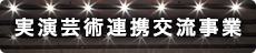実演芸術連携交流事業